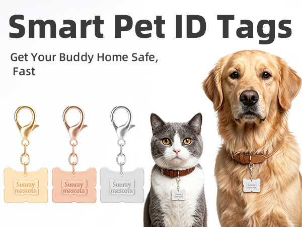 Dog ID Tag