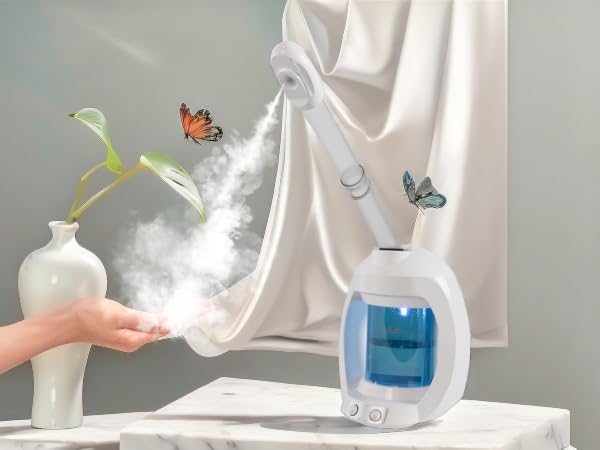 face steamer