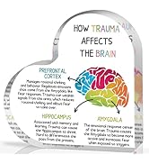 UBLURO Mental Health Desk Decor, Positive Affirmations How Trauma Affects the Brain Acrylic Heart...