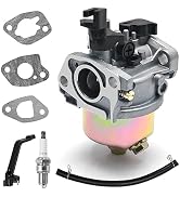Carburetor with Accessories 6.5HP 196cc Generator Carburetor Compatible with DuroStar DS4000S DS4...