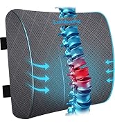 LumbarPal Lumbar Support Pillow for Office Chair Back Car, Gaming, - Improve Sitting Posture & Pa...