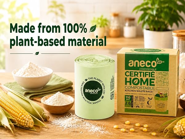 aneco