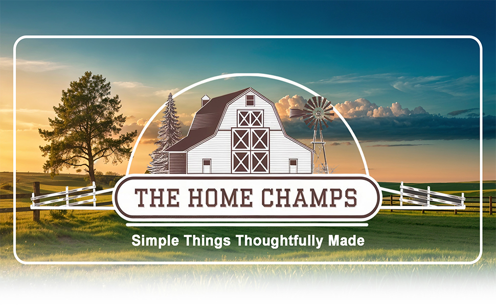 The Home Champs good egg wash and brush