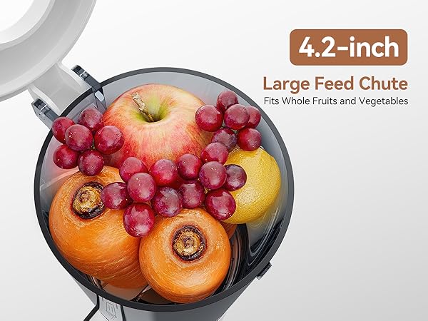 juicer