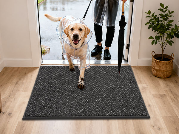 door mat indoor entrance