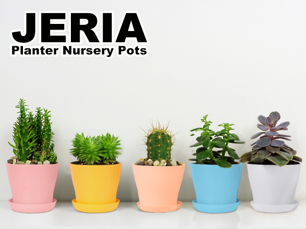 4 inch plastic pots