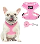 PUPTECK Soft Mesh Dog Harness and Leash Set Pet Puppy Cat Comfort Padded Vest No Pull Harnesses, ...
