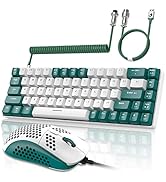 ZIYOU LANG RK-T8PR0 Wired 65% Mechanical Gaming Keyboard and Mouse Combo with RGB LED Backlit Ant...