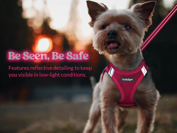 reflective dog harness