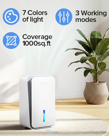 dehumidifier for bedroom