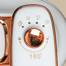 Travel Garment Steamers