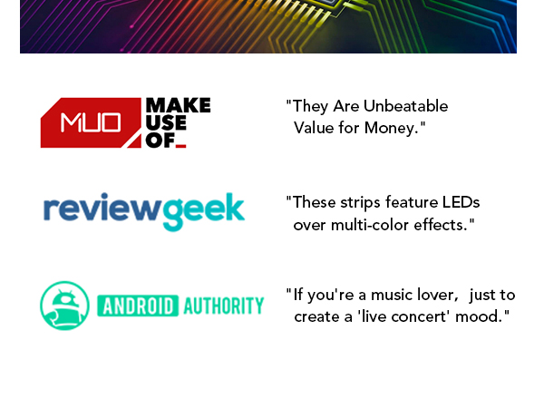 Govee RGBIC Tira de Luces LED