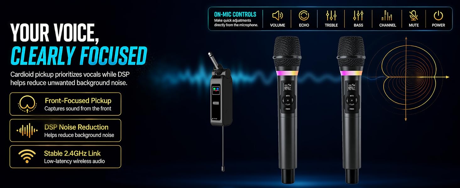Karaoke Microphone