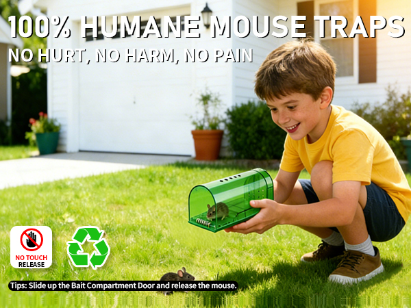 Mouse Traps Humane Catch and Release, Live Mouse Trap No Kill, No Touch, Pet Safe Mice Trap