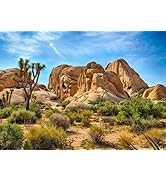 BELECO 7x5ft Fabric Desert Backdrop Joshua Tree National Park Photography Backdrop Odd Trees Rock...