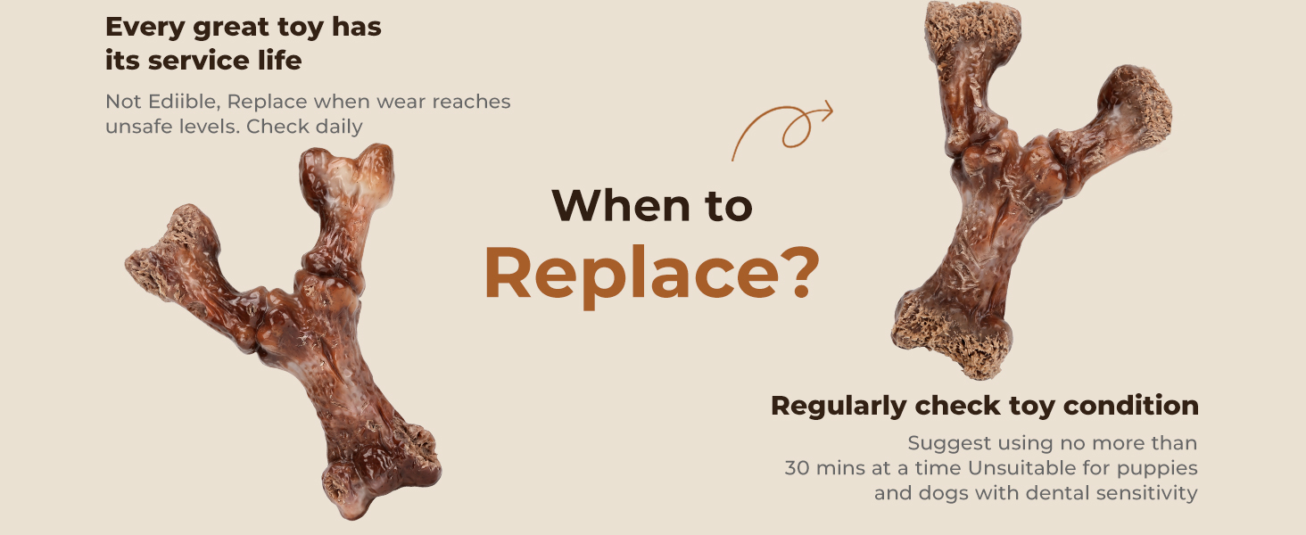 Replacement Guide: Replace Immediately When Severely Worn