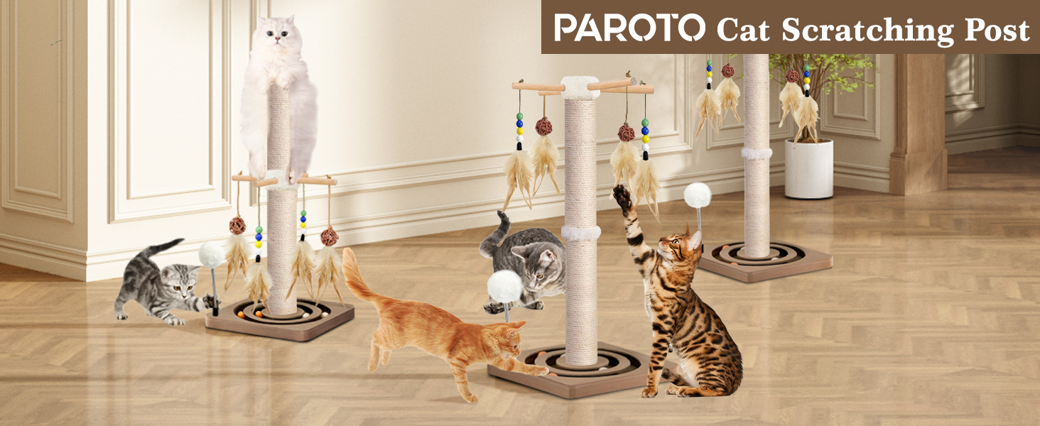 Cat Scratching Post
