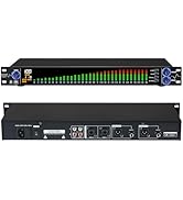 MIZISNR Digital Equalizer for Home Stereo Audio System, Professional 31 Band Dual Channel Graphic...