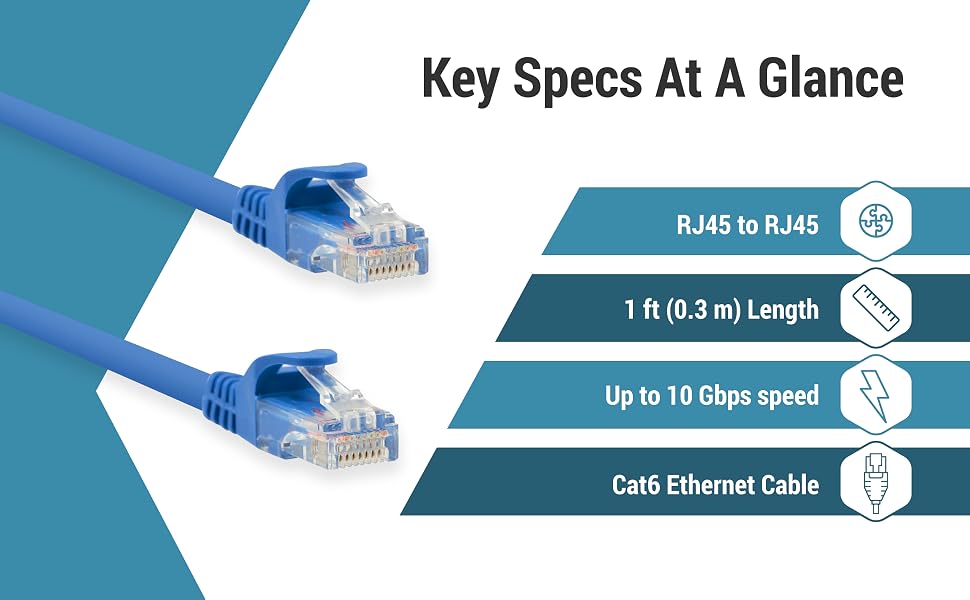 Two blue RJ45 connectors beside Cat6 cable specifications and icons.