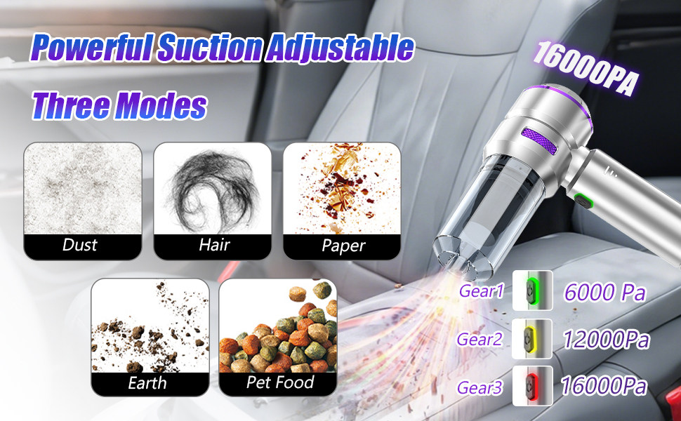 car vacuum pet hair