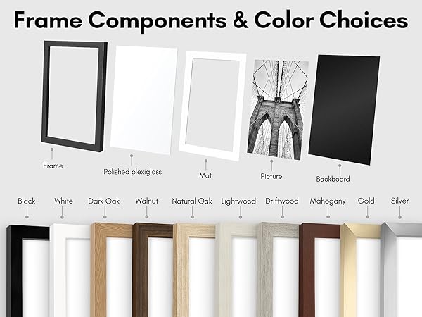 Frame Components and Color Choices