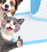 pee pads for dogs