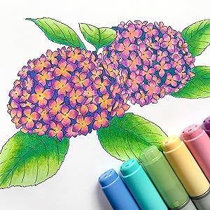 brush nib_copic ciao_illustration_flower_pastel