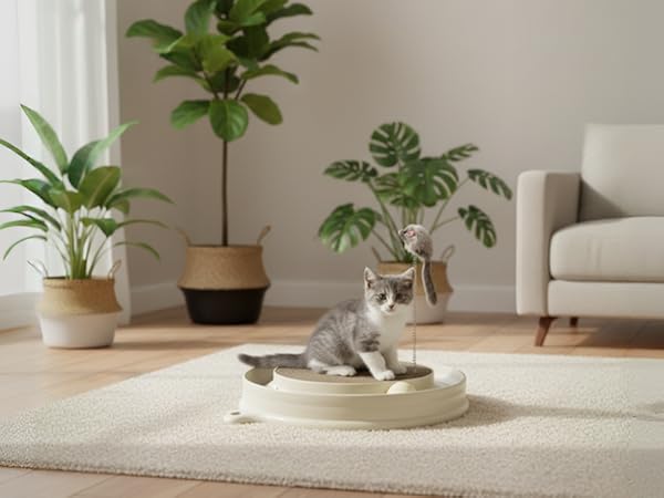 Prefect for Any Room - Fits seamlessly into your home décor