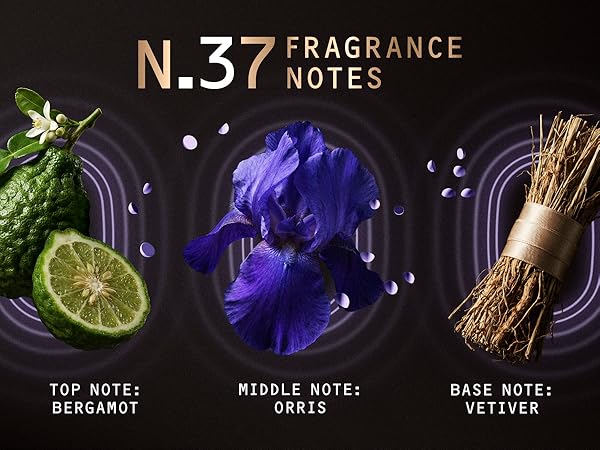 n. 37