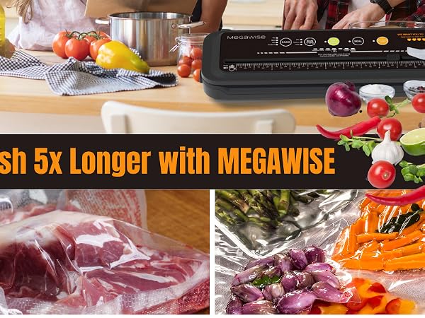 Vacuum Sealer