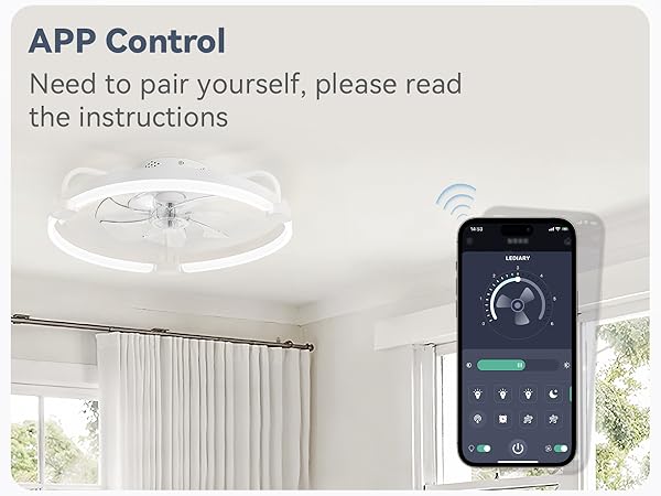 ceiling fan with lights