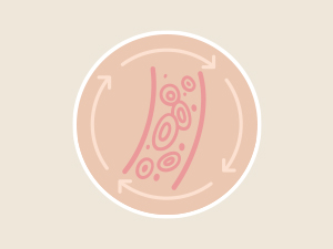 Enhanced Blood Circulation