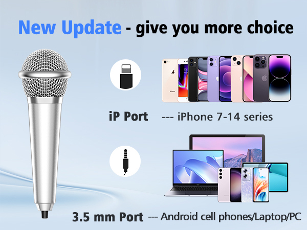 Mini microphone