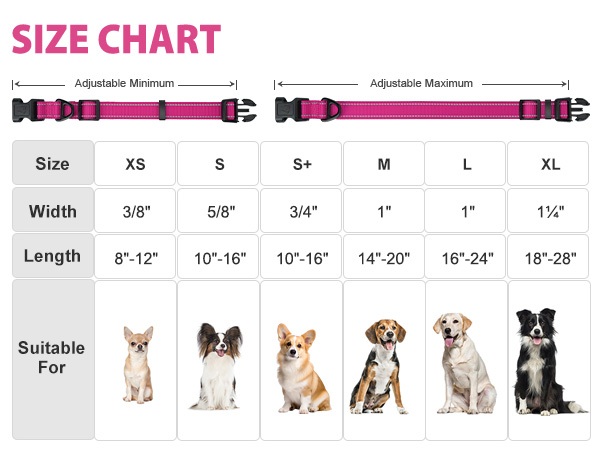 adjustable dog collar