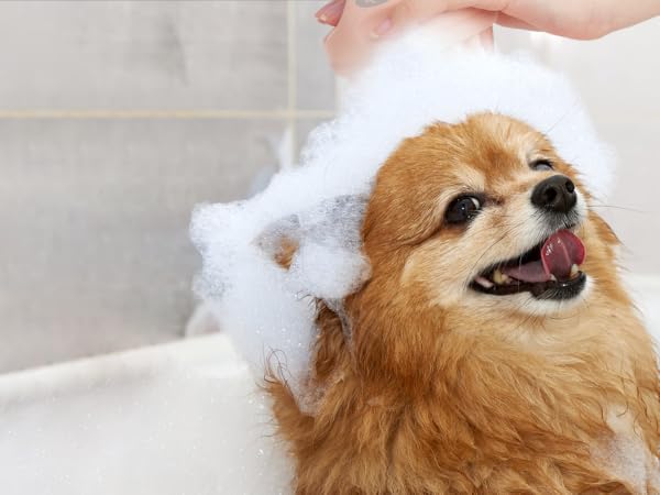 scalp massager shampoo brush