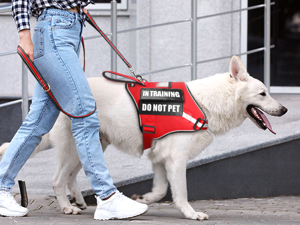 easy walk dog harness red