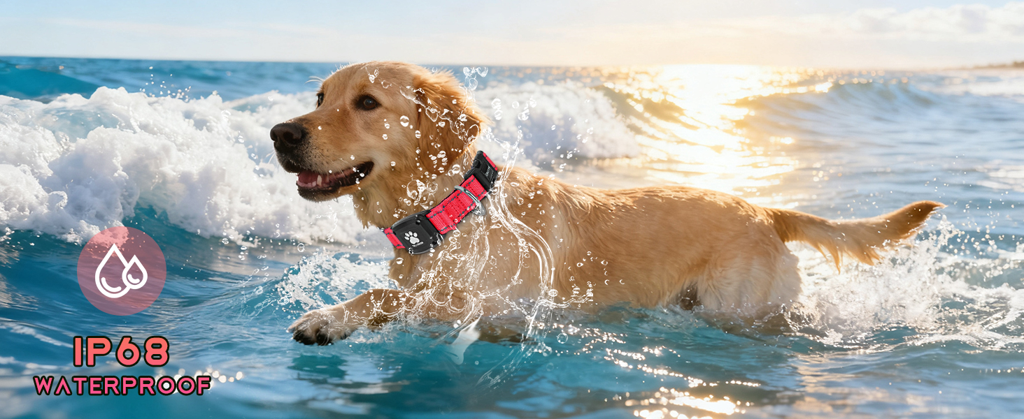 MYIWB IP68 Waterproof Dog Tracking Collar, Swim-Safe, Real-Time GPS