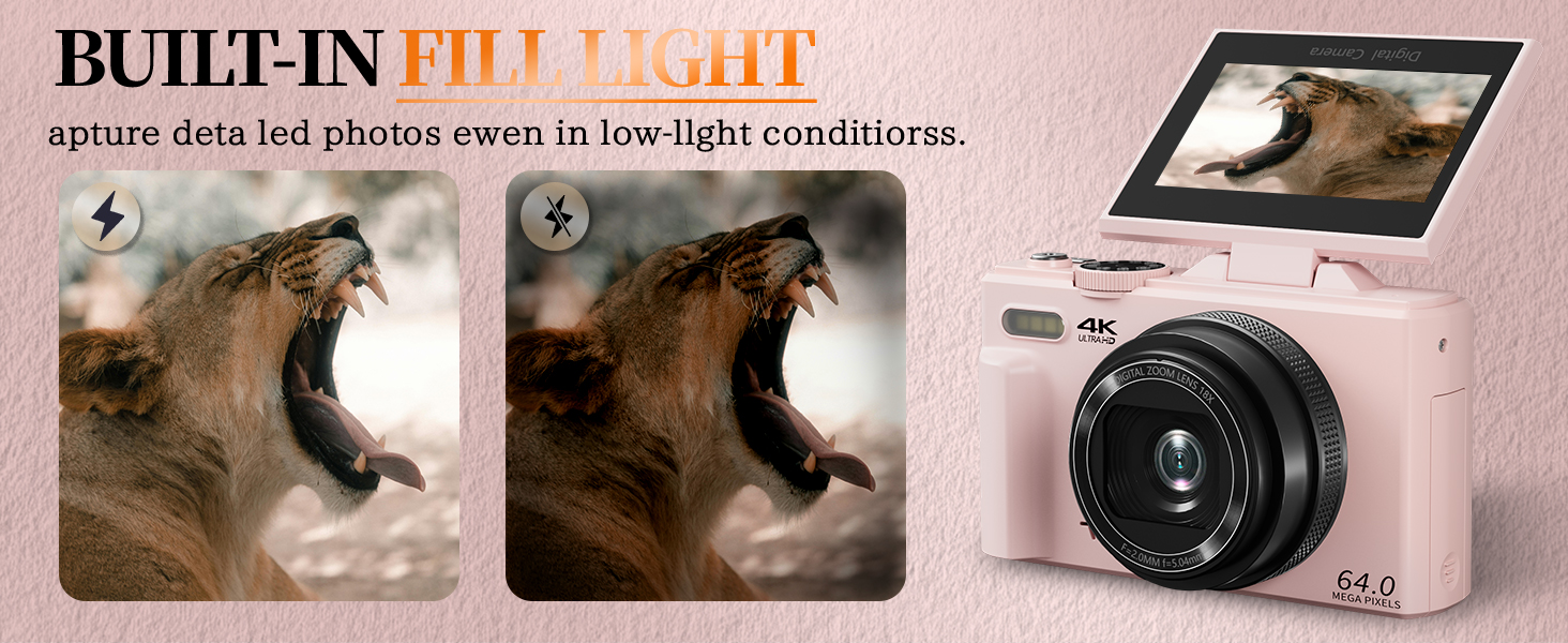 Digital Camera with Fill Light