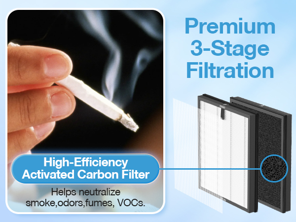 Air Purifier Replacement Filter for ECOSELF HAP603 Air Purifier