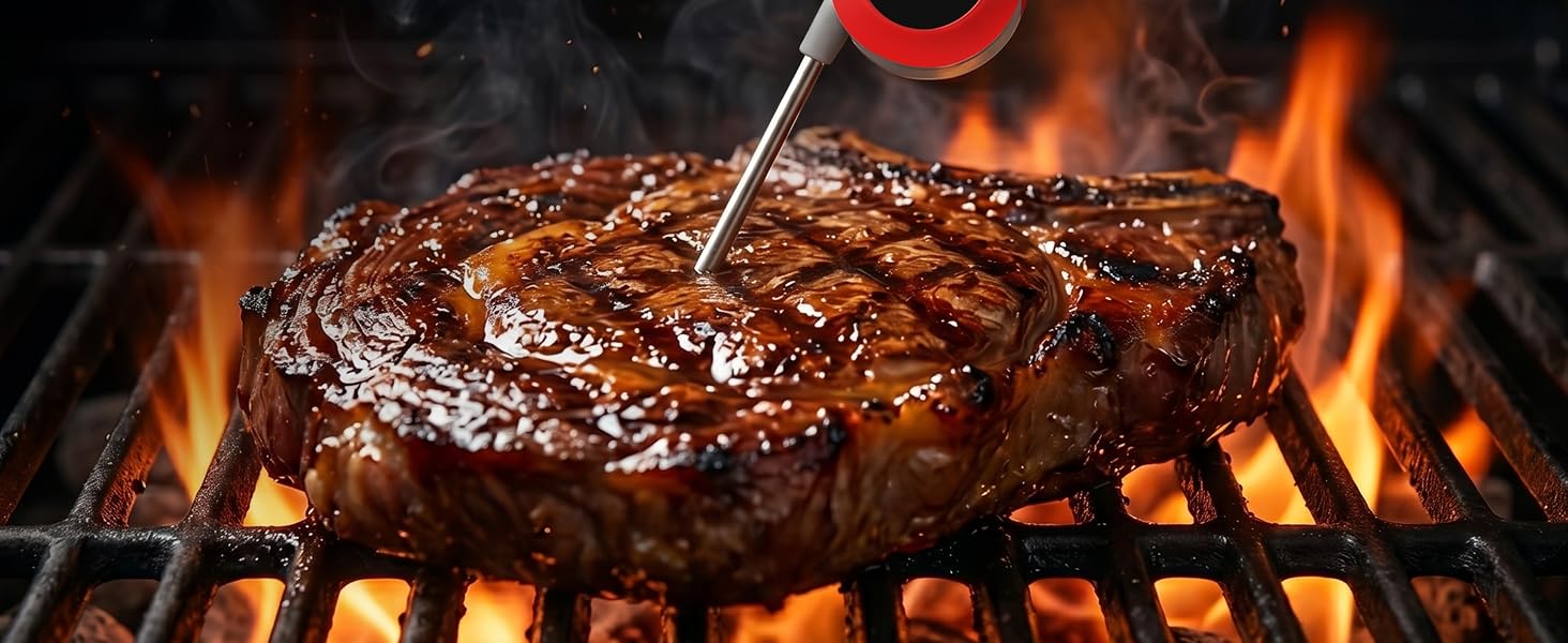 Digital meat Thermometer