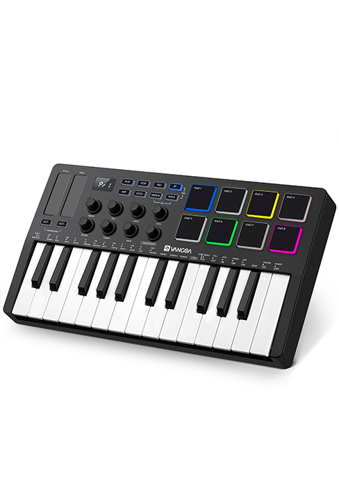 midi keyboard