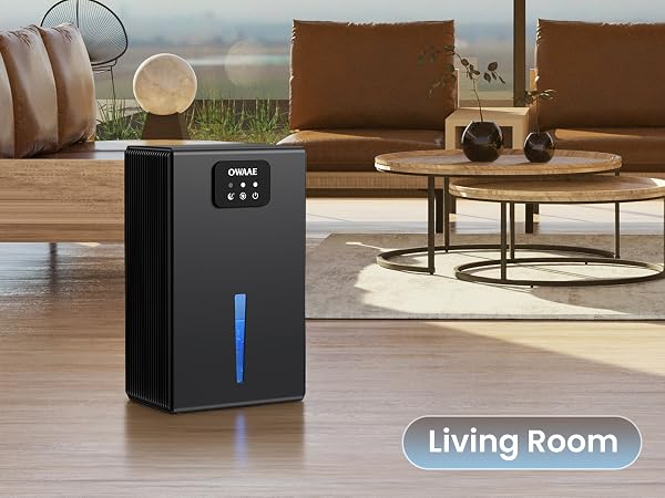 dehumidifier for living room