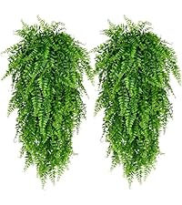 https://m.media-amazon.com/images/S/aplus-media-library-service-media/175212ae-4543-4d2f-b56c-4cd9203062cc.__AC_SR200,225___.jpg
