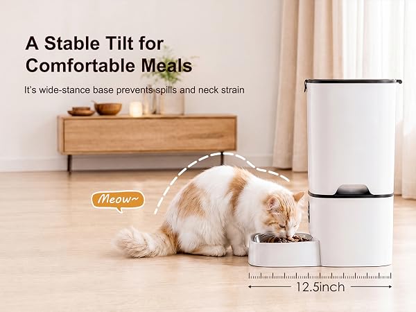 timed cat food dispenser