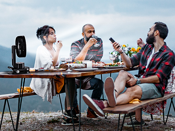 Picnic