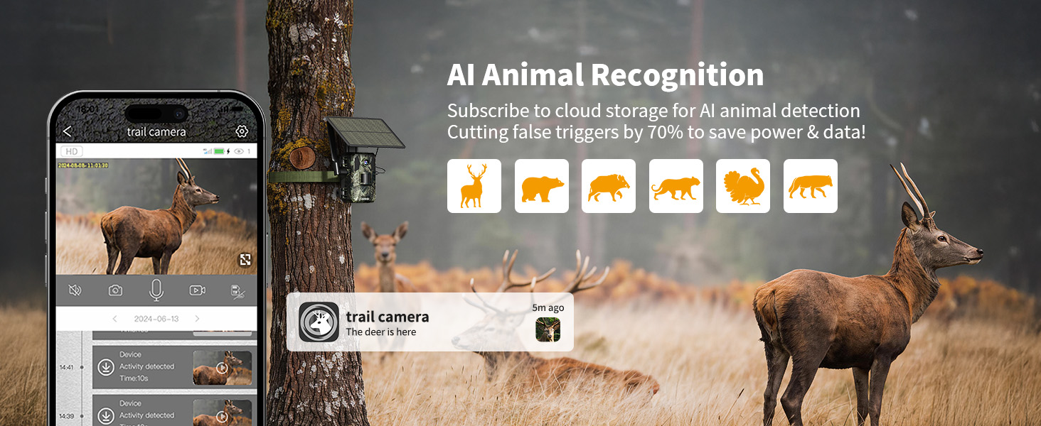 trail camera
