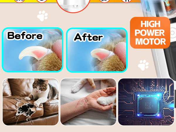 Dog Nail Trimmers