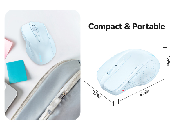 mouse