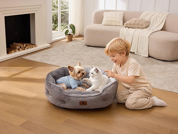 cat beds for indoor cats
