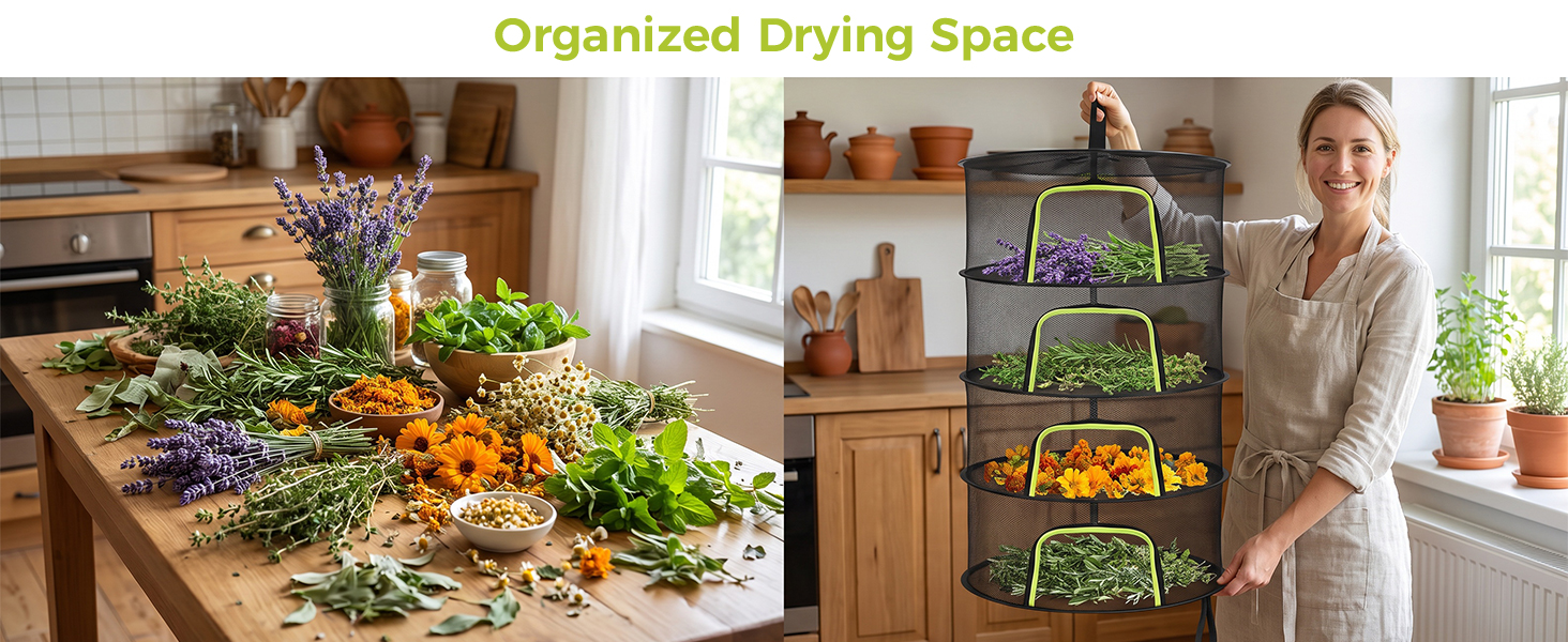 herb drying